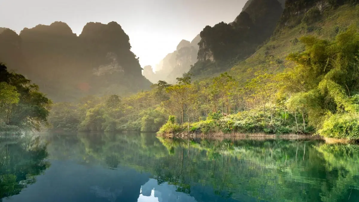 可靠性高质量自动化